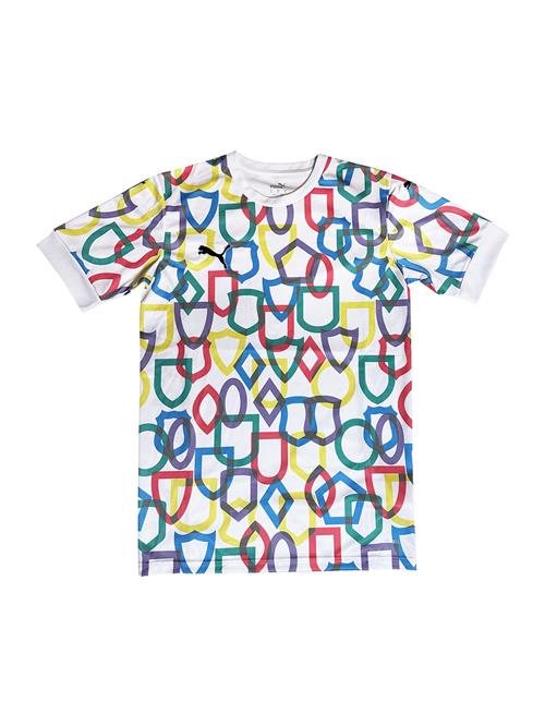 PUMA Funktionsskjorte  blå / grøn / rød / hvid