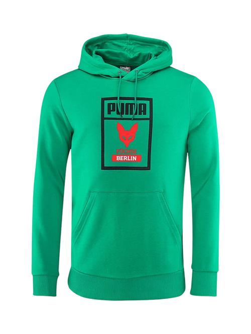 PUMA Sportsweatshirt  grøn / rød / sort