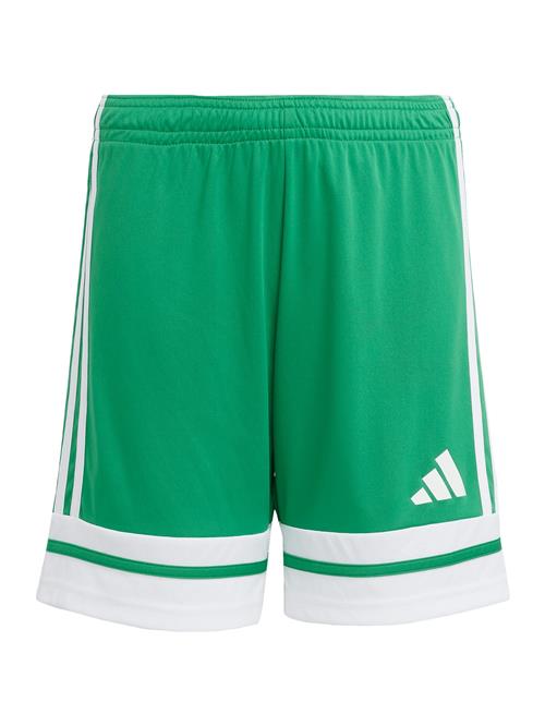 ADIDAS PERFORMANCE Sportsbukser  grøn / hvid