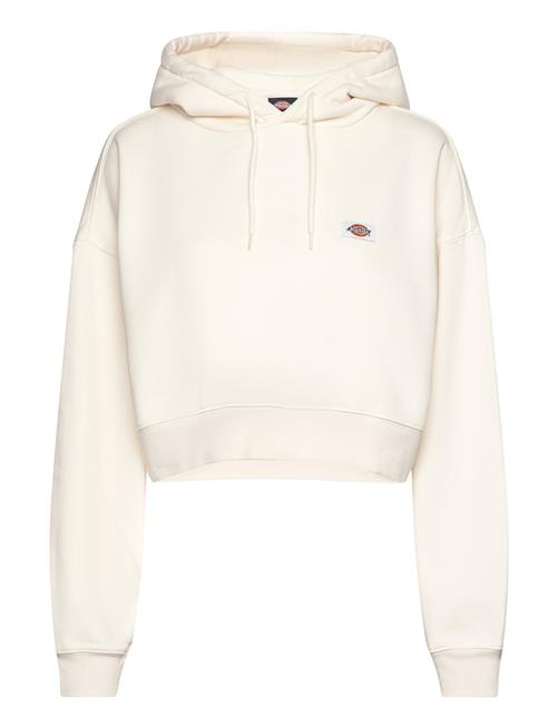 Dickies | Oakport Cropped Hoodie | L