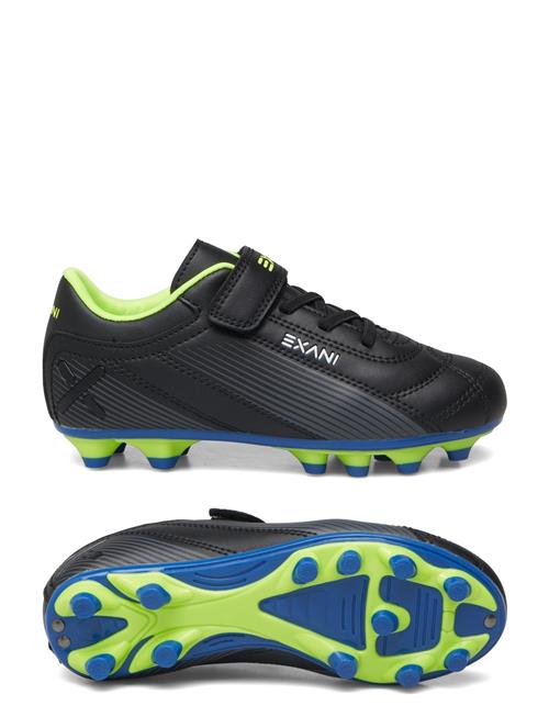 Exani | Matrix Jr | 36