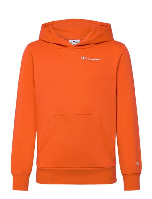 Champion | Hooded Sweatshirt | 162-167