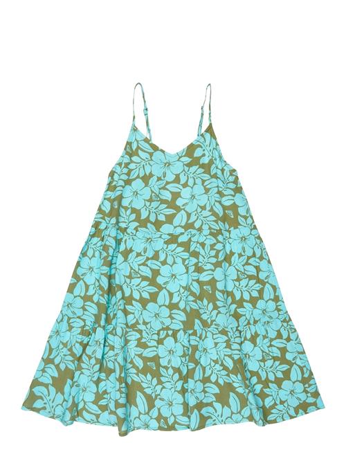 Roxy | Sunlit Dreams | 152