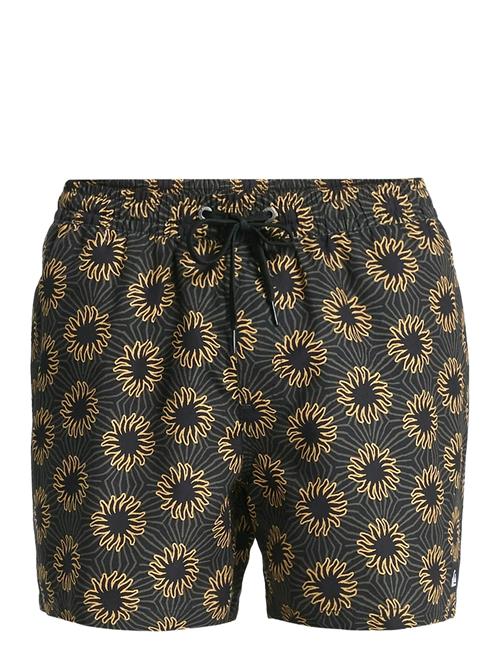 Quiksilver | Everyday Printed Volley 15 | XXL