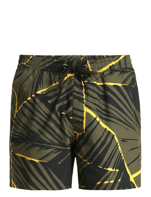 Quiksilver | Everyday Printed Volley 15 | XXL