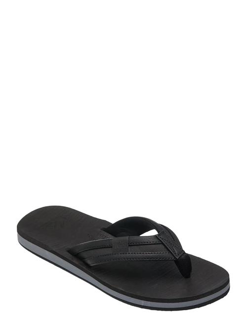 Quiksilver | Carver Squish 26 | 45