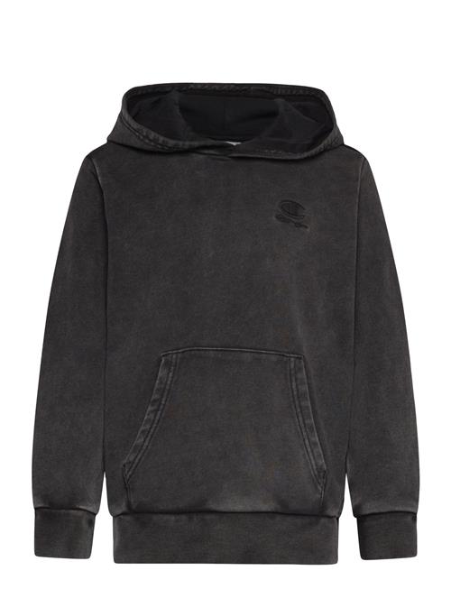 Champion | Hooded Sweatshirt | 102-107