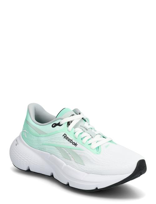 Reebok Performance | Zignition | 40