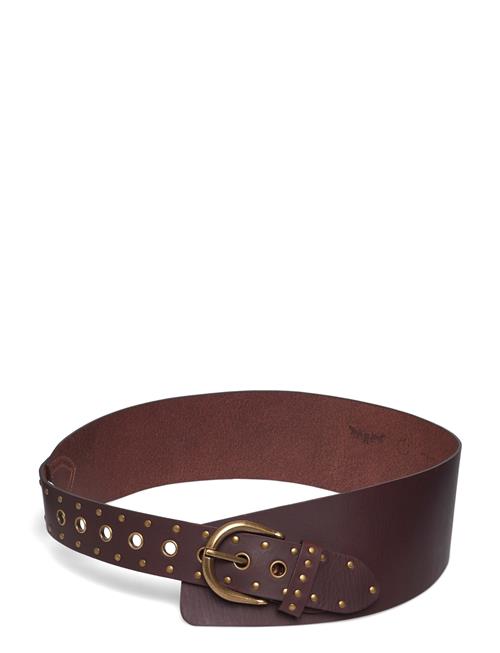Levi's® | Buckle Up Wide Belt Chocolate | S