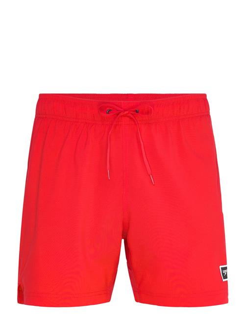 Speedo | Classic Logo Volley 16" | M