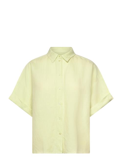 BOSS | C_Bisenas | 40