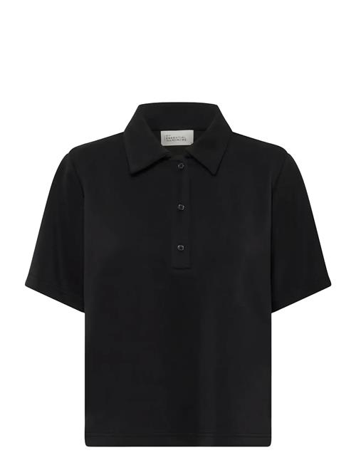My Essential Wardrobe | Mwhelle Polo Tee | XXL