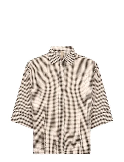 Soyaconcept | Sc-Canelita | L