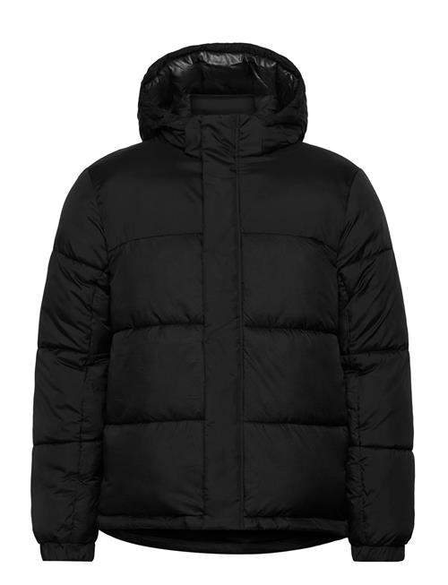 Jack & Jones | Jcounion Puffer Jacket Sn | XXL