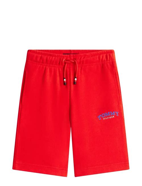 Tommy Hilfiger | Monotype Graphic Sweatshort | 140