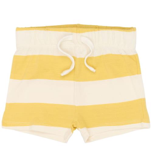 The New Shorts - TnstTrevor - Cream Gold Striped