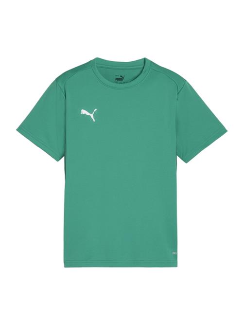 PUMA Funktionsskjorte 'TeamGoal'  grøn / hvid