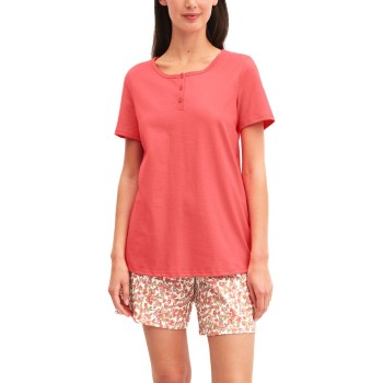 Calida Flower Nights Short Pyjamas Laksrosa bomuld Large Dame