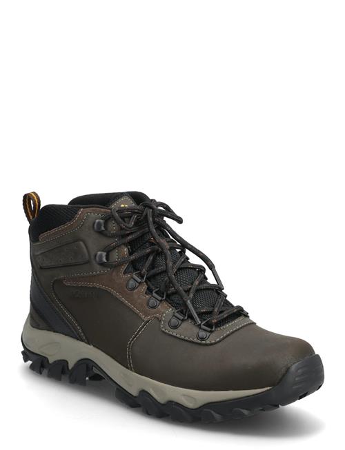 Columbia Sportswear | Newton Ridge Plus Ii Waterproof | 43