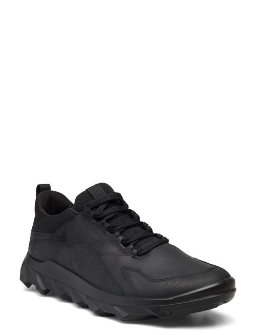ECCO | Mx M | 44