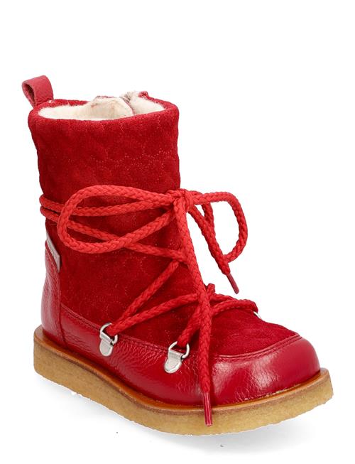 ANGULUS | Boots - Flat - With Lace And Zip | 28 x 18.10