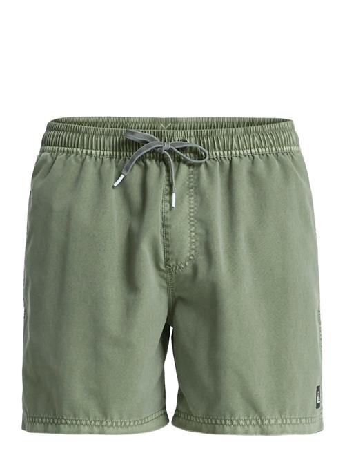 Quiksilver | Everyday Surfwash Volley 15 | XXL