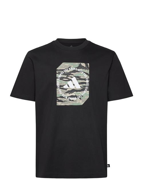 adidas Sportswear | M C Camo Box T | S