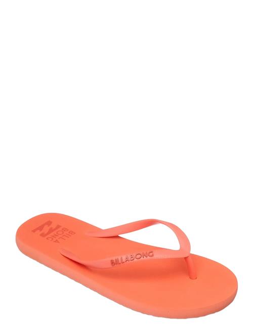 Billabong | Sunlight | 40