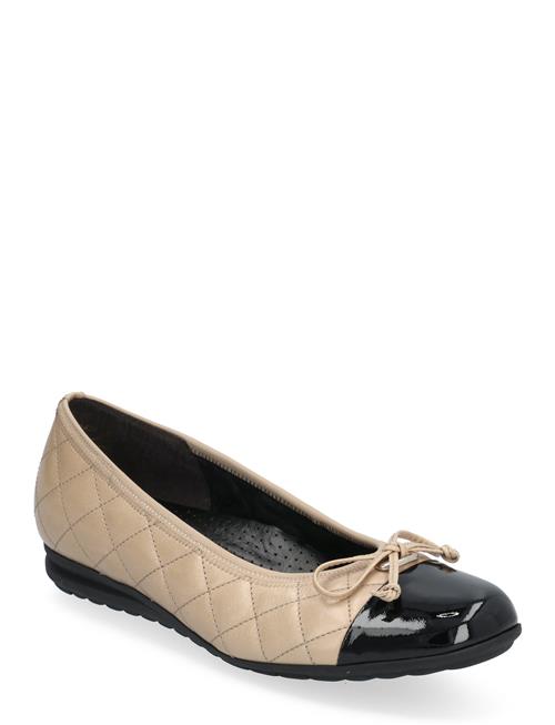 Gabor | Ballerina | 38.5