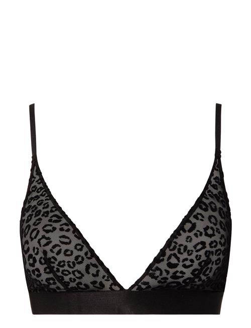 Understatement Underwear | Wild Polish Mesh Bralette | XL