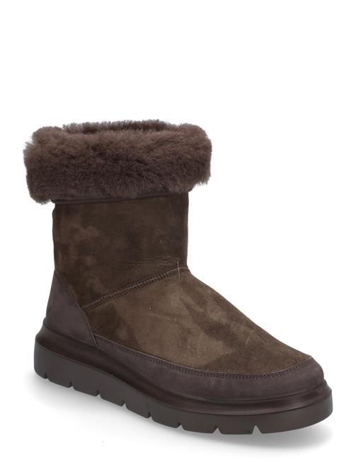 ECCO | Nouvelle | 38