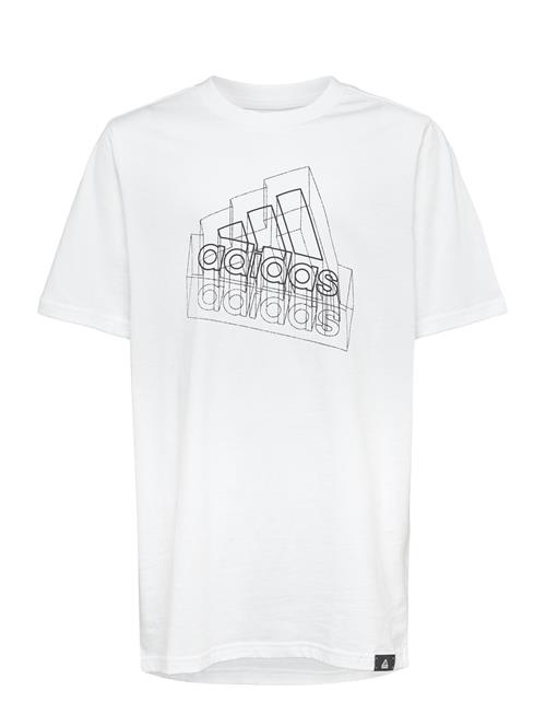 adidas Sportswear | Tech Table | 140