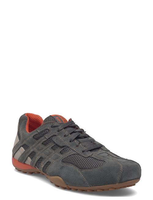 GEOX | U Snake Original A | 44
