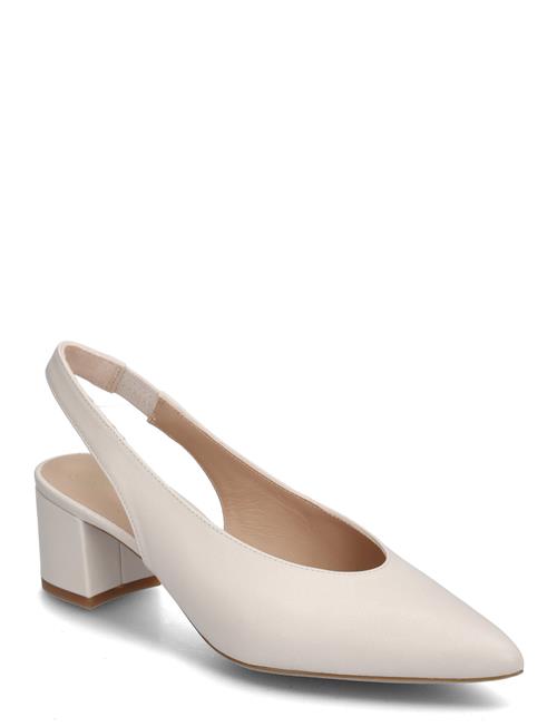 UNISA | Jensennto | 40