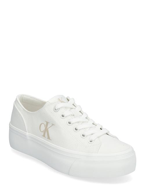 Calvin Klein | Vulc Flatform Low Canvas Mg | 42