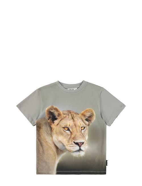 Molo | Riley | 140