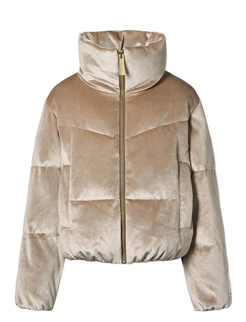 Molo | Havi 2 | 116