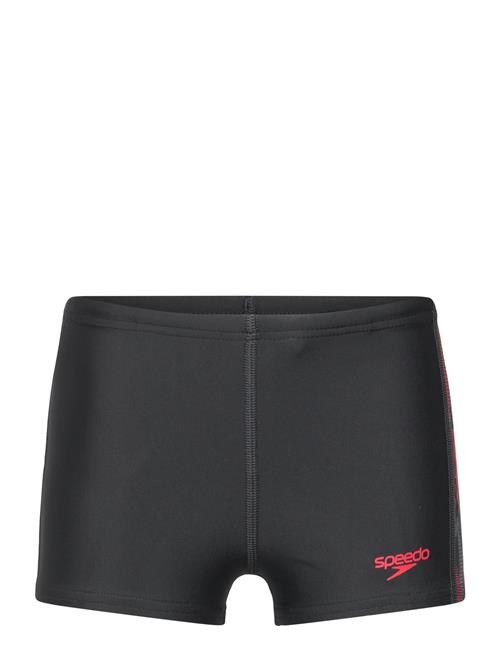 Speedo | Placement Aquashort | 176