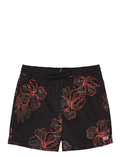 Billabong | Sundays Lb | M