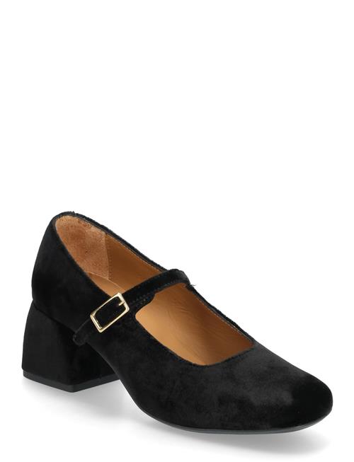 ANGULUS | Shoes - Heel - With Buckle | 38
