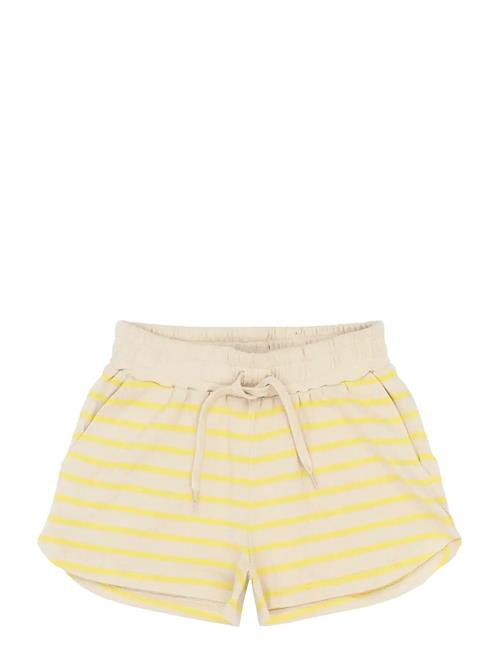 The New | Tnshannon Shorts | 134/140