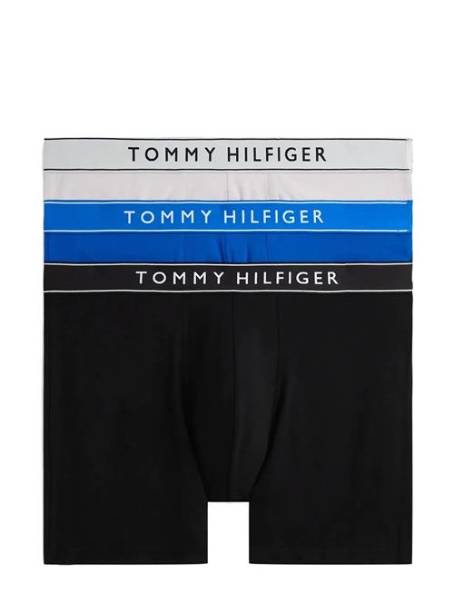 Tommy Hilfiger | 3P Boxer Brief Dtm | XL