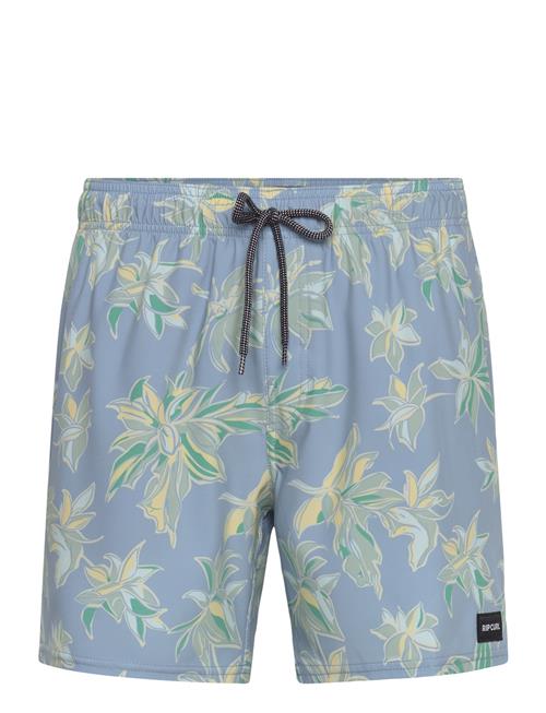 Rip Curl | Sessions Volley | XL