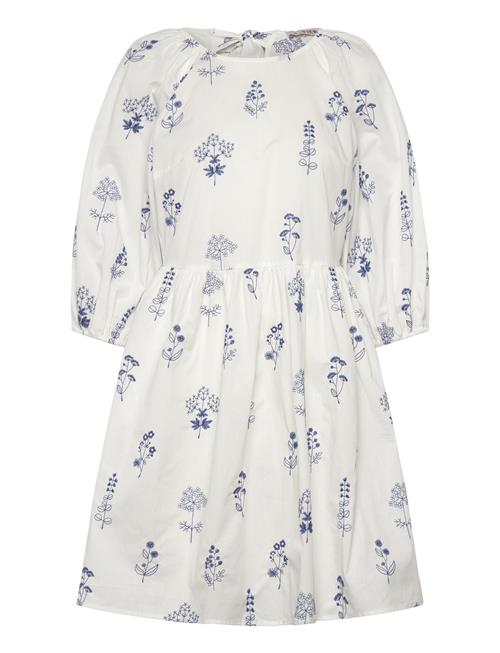 A-View | Agnelia Dress | 40