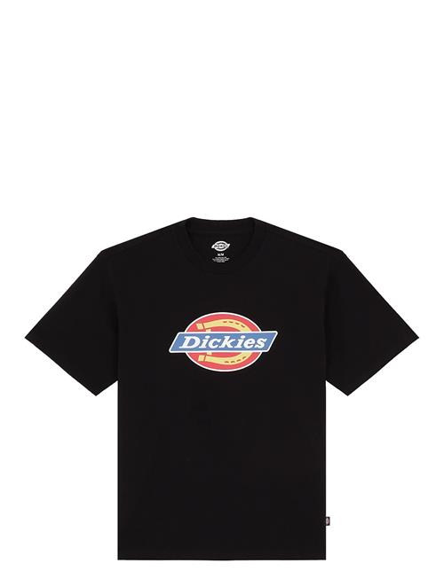 Dickies | Dickies Icon Ss Tee | XXL