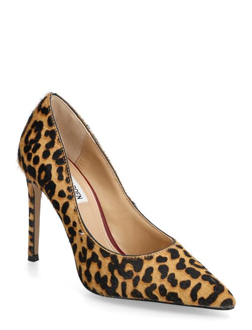 Steve Madden | Thrive-L | 39