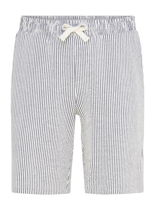 INDICODE | Inlysti Shorts | M