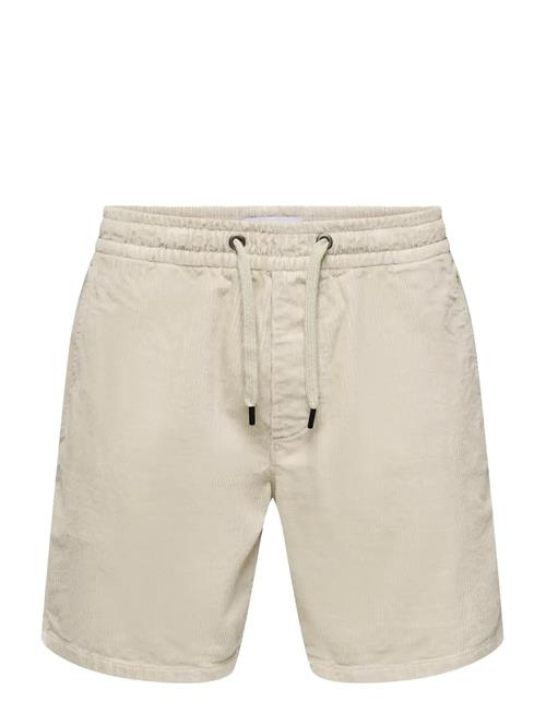 ONLY & SONS | Onstel Corduroy 0185 Shorts Noos | L
