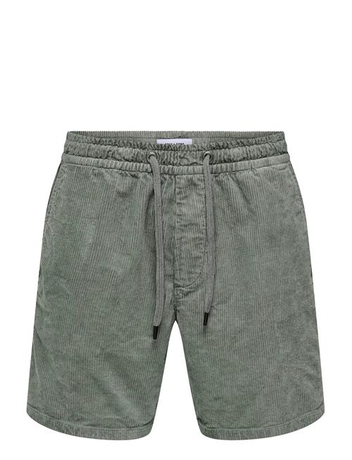 ONLY & SONS | Onstel Corduroy 0185 Shorts Noos | L