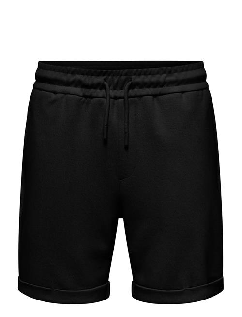 ONLY & SONS | Onsnewkodyl Reg S Shorts Noos | XS